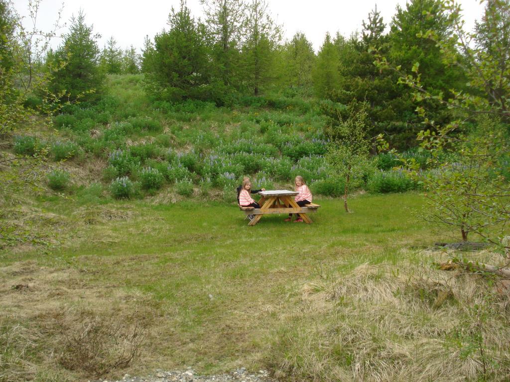 איילססטאד'יר Vinland Camping Pods חדר תמונה